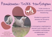 Trükk tanítás kutyának